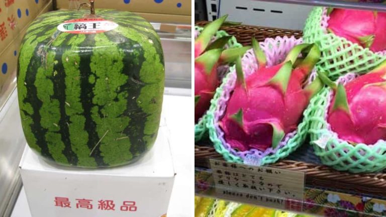 Japonci a láska k ovociu – jeden melón sa predal za takmer 30 tisíc eur!