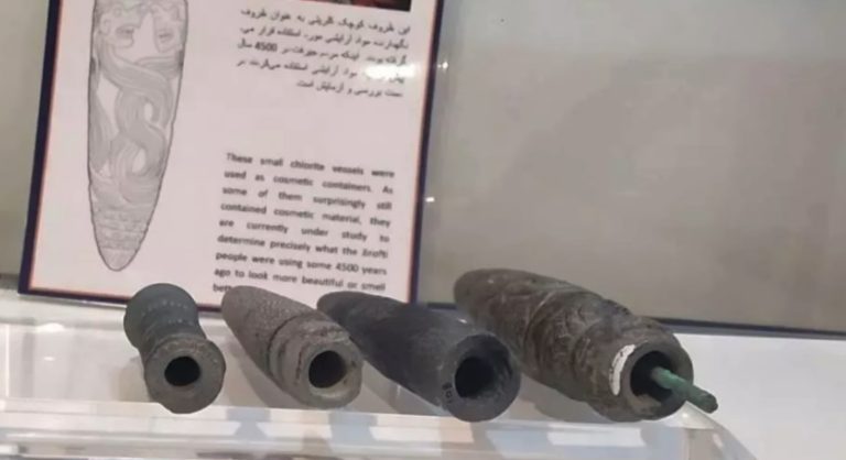 Objavili prvý rúž v histórii: Starodávne tajomstvo krásy z južného Iránu z pred 5000 rokov