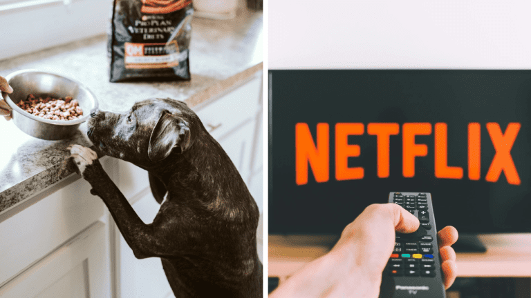 10 najzvláštnejších zamestnaní na svete