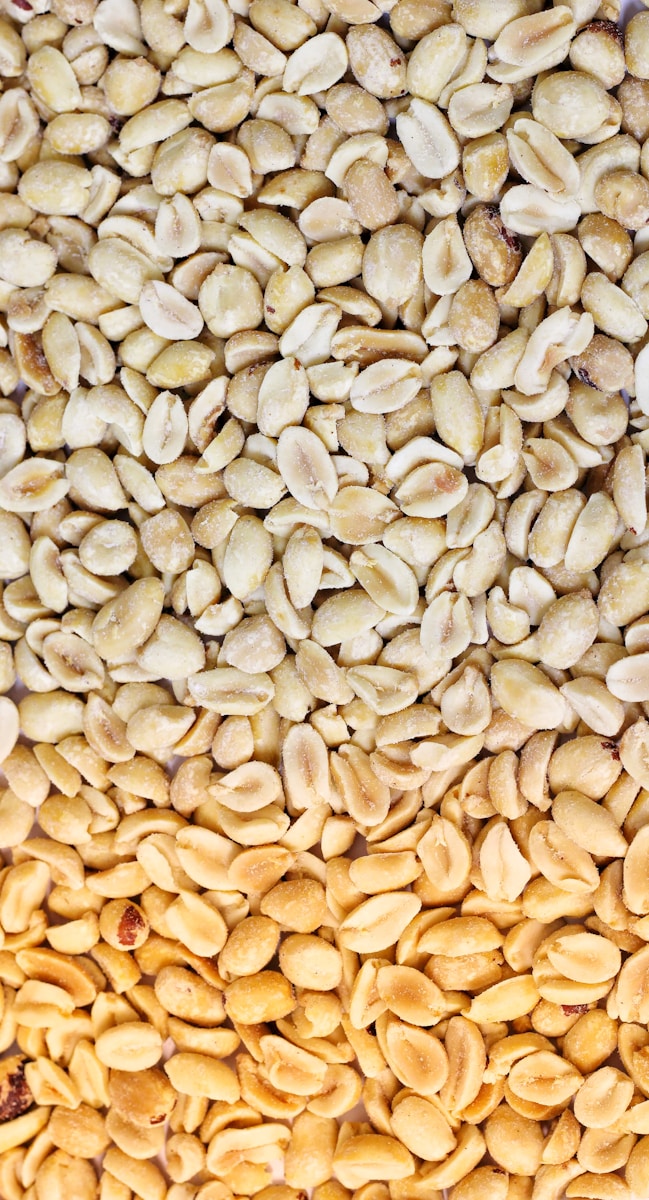 a close up of a pile of nuts