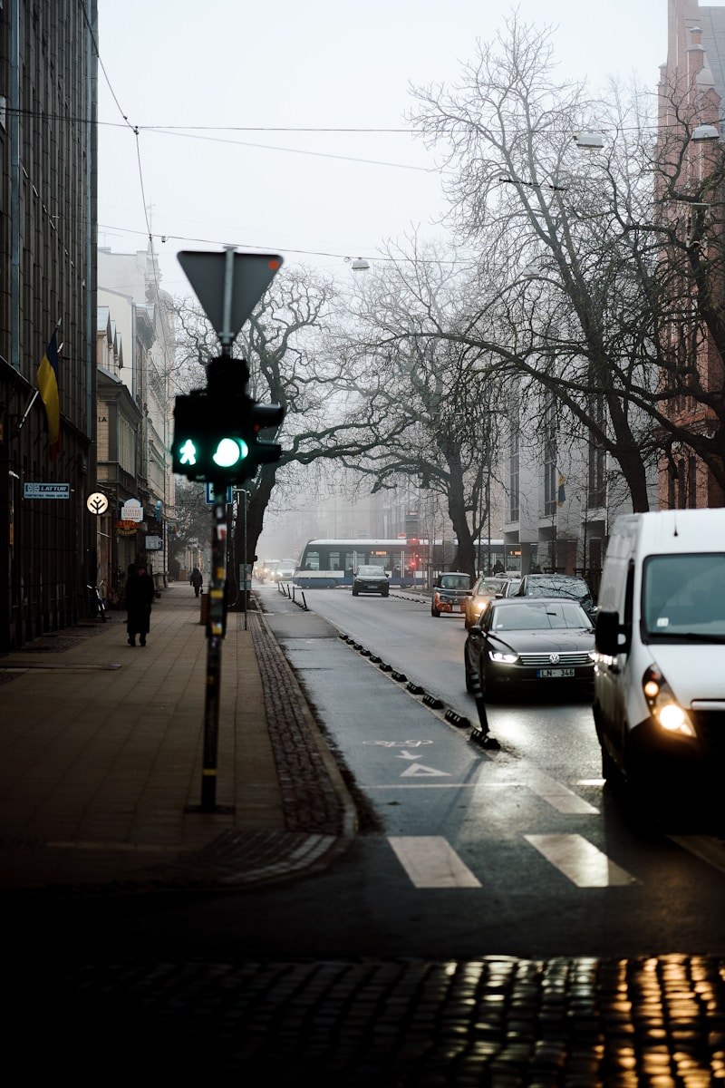 a traffic light sitting on the side of a road