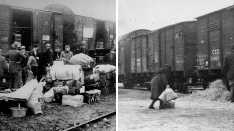 Masové deportácie naprieč históriou. Násilie, krutosť a nepokoj!