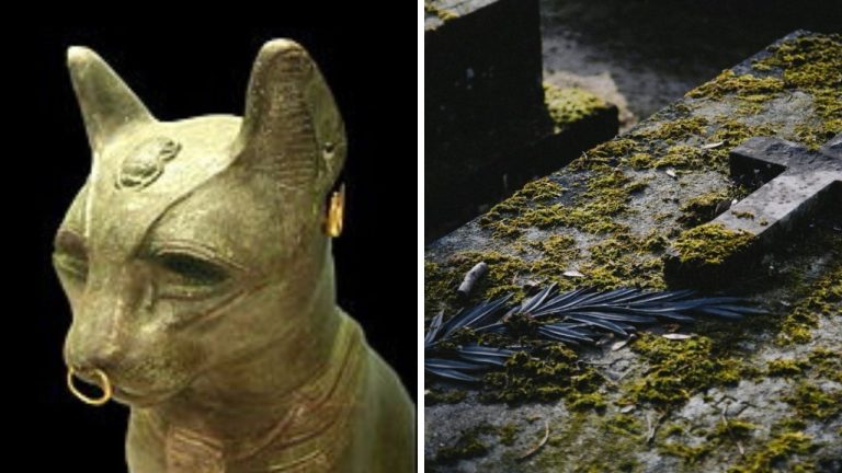 Uctievanie mačiek? Čo ste o ňom nevedeli a mohlo by vás zaujímať?