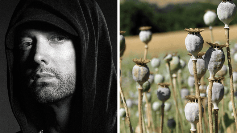 Náhodné zaujímavosti: ako Eminem skladá tak komplexné texty a na čo sa kedysi používalo ópium