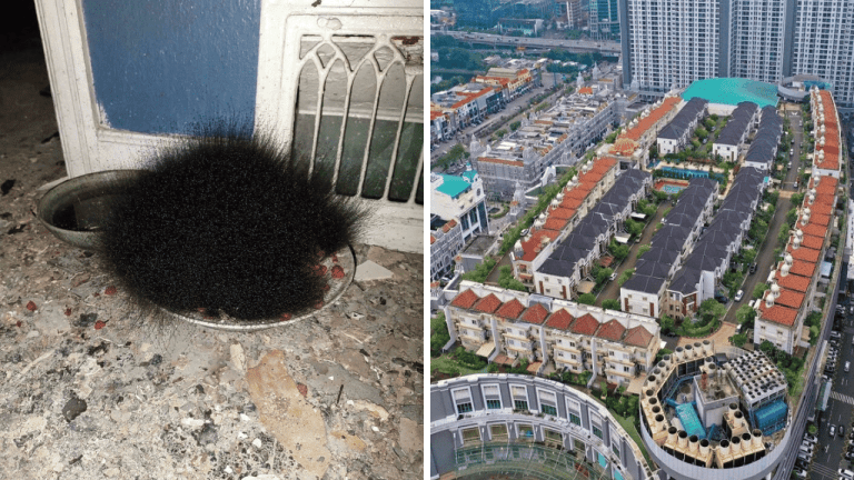 Desivé situácie: 10 fotografií, ktoré vám zvýšia tep