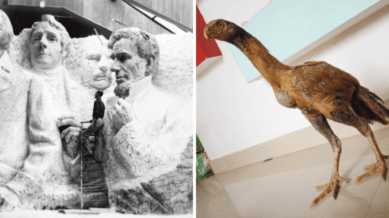 10 fotografií, ktoré dokazujú, že svet je plný prekvapení