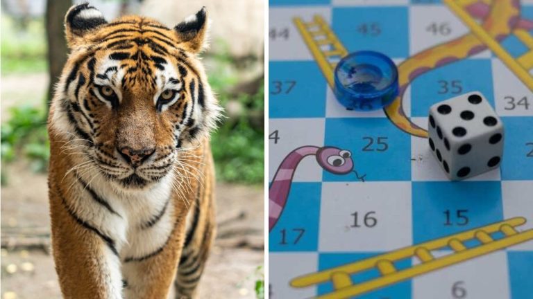 India nie je len chudobou krajinou. V skutočnosti je plná zaujímavostí. Presvedčte sa sami!