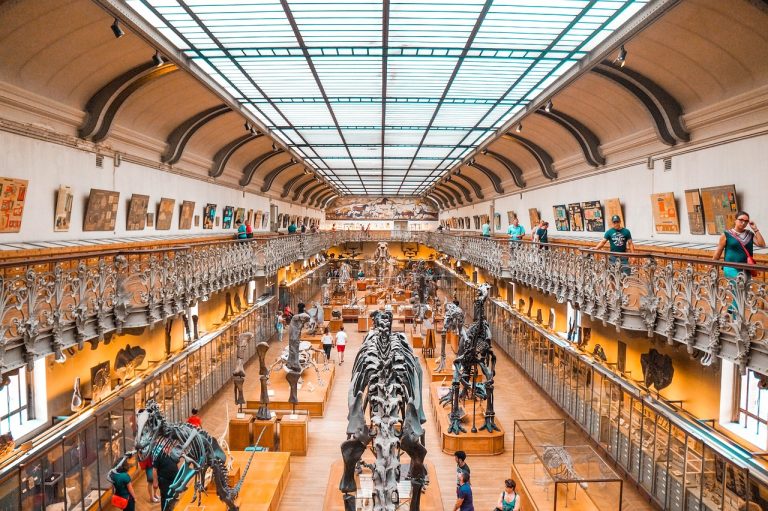 Spočítané: vieme koľko druhov dinosaurov sa prechádzalo po Zemi