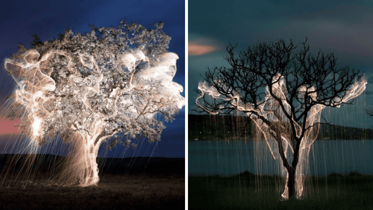 Začarovaný les: 10 rozprávkových fotografií s dlhou expozíciou, ktoré musíte vidieť