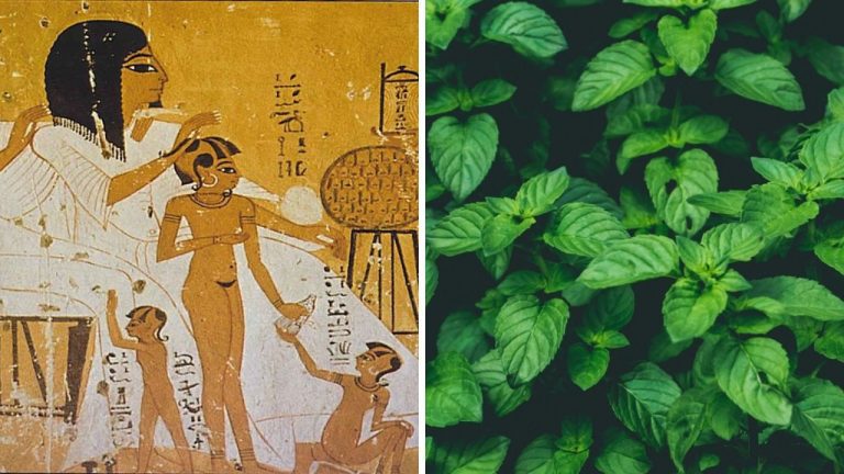 Ako vvyzerala hygiena v starovekom Egypte? Zaručene vás ich vyspelosť prekvapí!