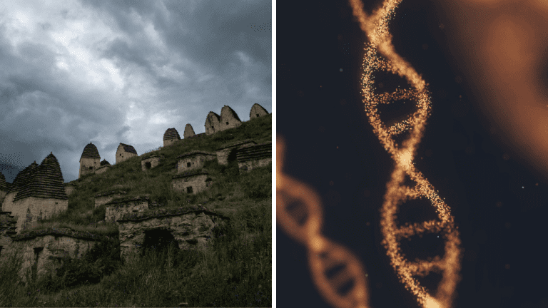 Staroveká epidémia? Vedci našli v škandinávskych kostrách DNA moru