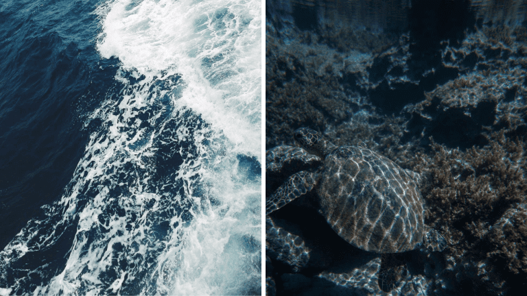 Tmavý kyslík: Prekvapivý objav pod hladinou Tichého oceánu