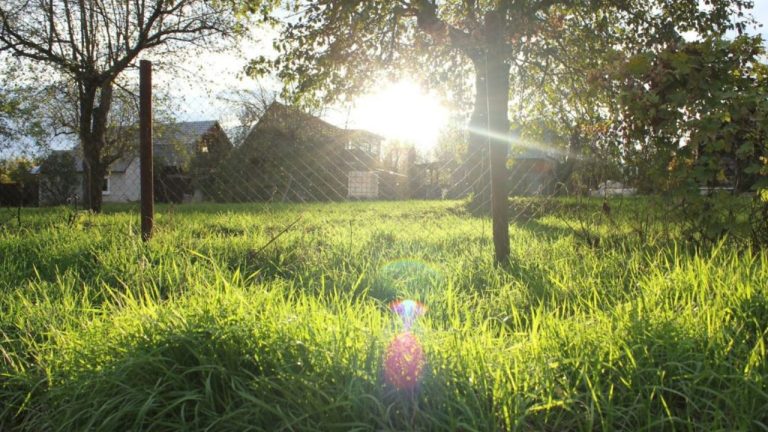 Koniec júla bude horúci, čaká sa až 36°C. Predpoveď počasia na tento týždeň!