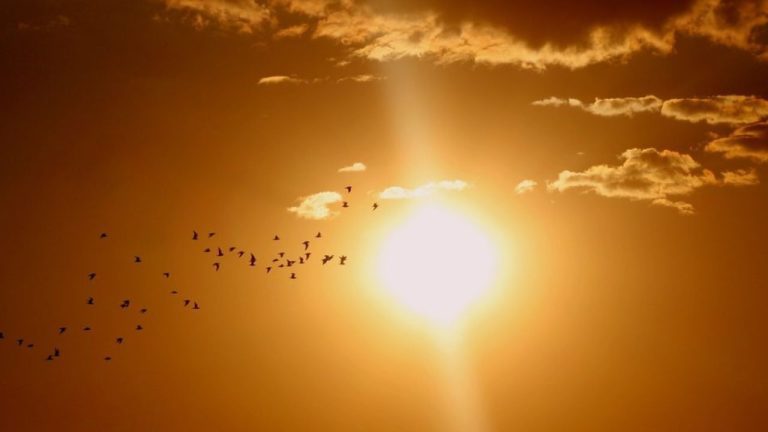 Výstraha pre 3 okresy: Dnes bude neuveriteľných 38 °C!