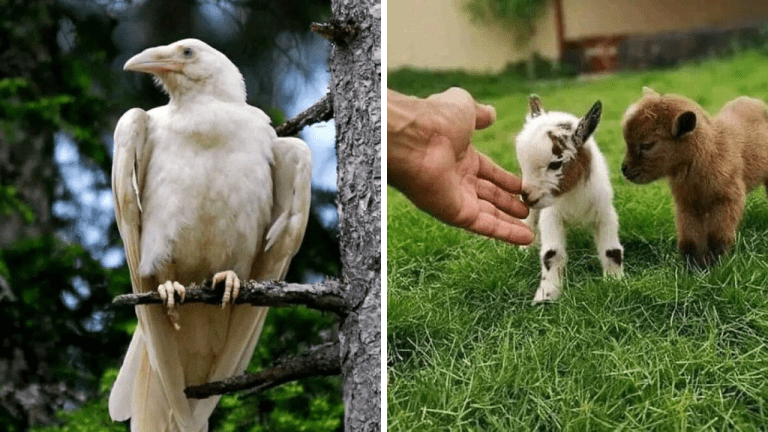 10 neobyčajných fotografií, ktoré by ste si nemali nechať ujsť