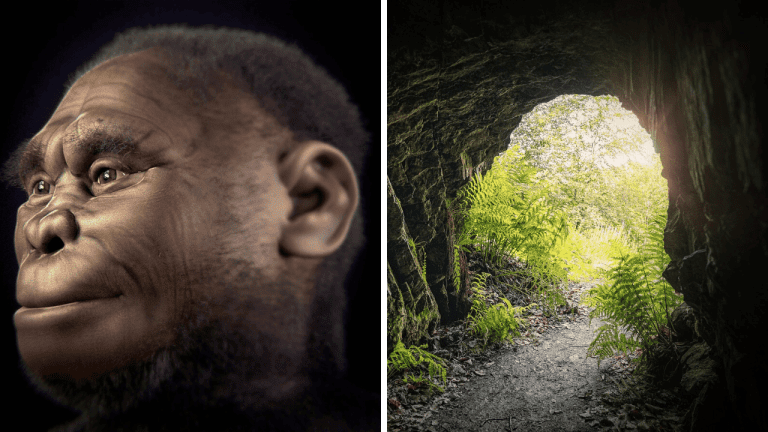 Koľko v skutočnosti merali hobiti? Nový archeologický výskum prináša odpoveď!