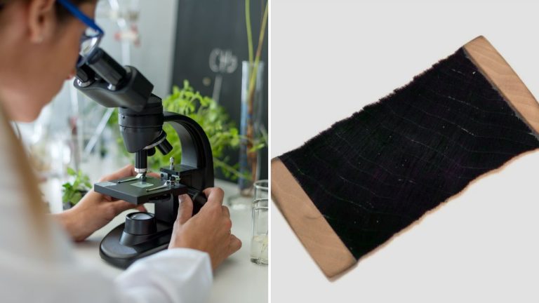 Vedci náhodou objavili nový super-čierny materiál, ktorý absorbuje 99% svetla
