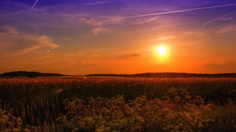Pripravte sa na horúčavy 35 – 37°C: Aké počasie nás čaká cez víkend?