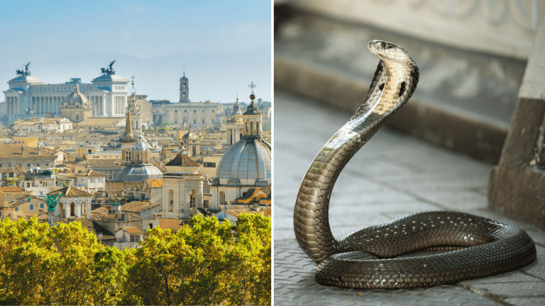 Turistickú perlu v Európe zamorili hady a potkany: Dôvodom sú vysoké teploty a znečistenie