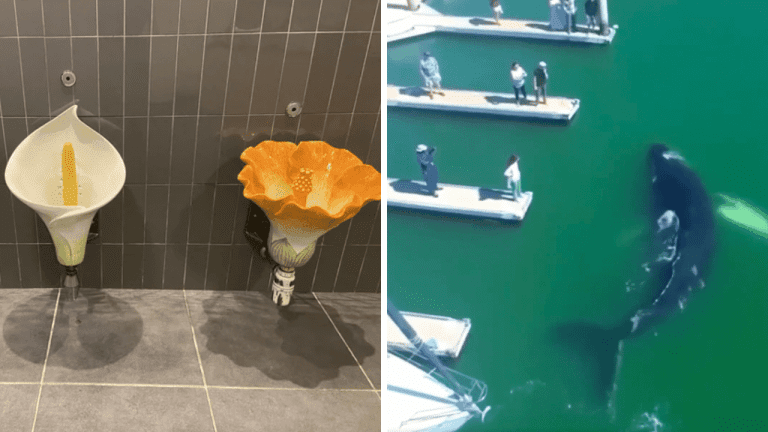 10 zaujímavých fotografií, ktoré vám spestria týždeň