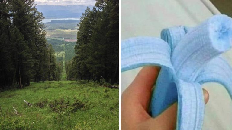 10 náhodných zaujímavých fotografií z internetu #6: Čierne paradajky alebo najstaršia protéza sveta