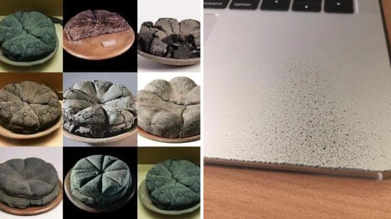 10 náhodných zaujímavých fotografií z internetu #13: Skorodovaný MacBook, či karbonizovaný chlieb!