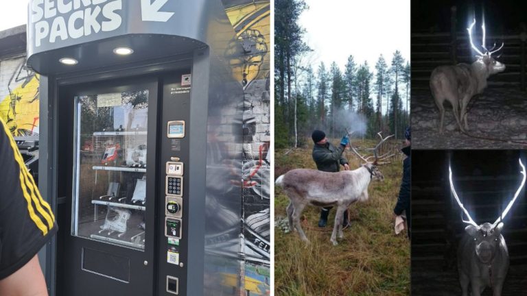 10 náhodných zaujímavých fotografií z internetu #8: Tabletka v zásuvke alebo modrý škorpión!