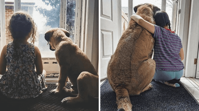 10 dojímavých porovnávacích fotografií majiteľov so svojimi domácimi miláčikmi