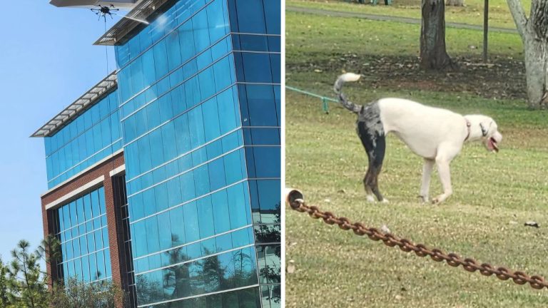 10 náhodných zaujímavých fotografií z internetu #26: Dron umýva budovu, či najsevernejší McDonald’s sveta!