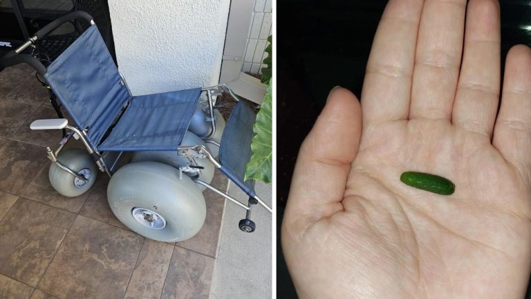 10 náhodných zaujímavých fotografií z internetu #27: Invalidné vozíky na pláž, či koláč vyzerajúci ako sekaná!