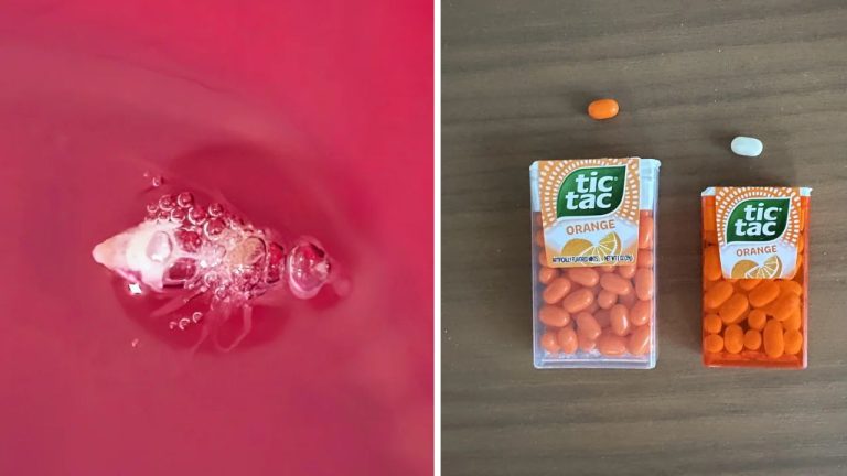 10 náhodných zaujímavých fotografií z internetu #30: Poštová polícia alebo oranžový Tic Tac u nás a v USA!
