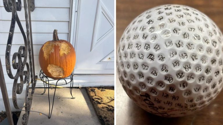 10 náhodných zaujímavých fotografií z internetu #31: Halloweenska tekvica od veveričiek, či kuchyňa v 1957!