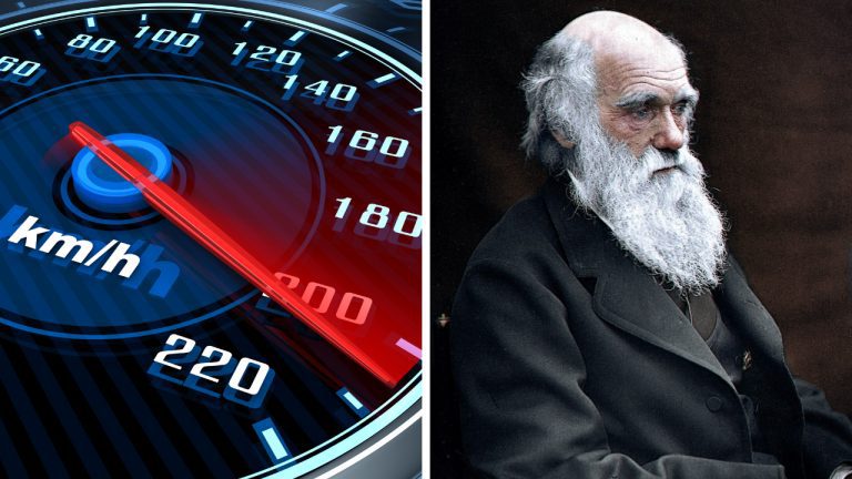 Zaujímavosti ku káve, ktoré ti rozšíria obzory #1905 – prvá pokuta za rýchlosť a Darwinov vynález kancelárskej stoličky