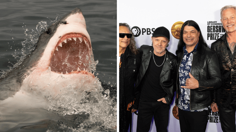 Zaujímavosti ku káve, ktoré ti rozšíria obzory #1888 – Čo majú spoločné ľudské a žraločie zuby a Metallica ako jediná skupina na všetkých kontinentoch