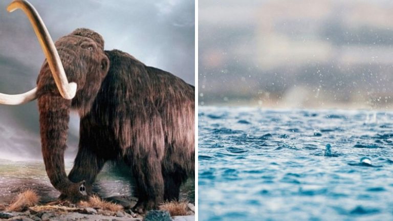 Pohľad na evolúciu Zeme – takto plynul čas a svet sa vyvíjal.