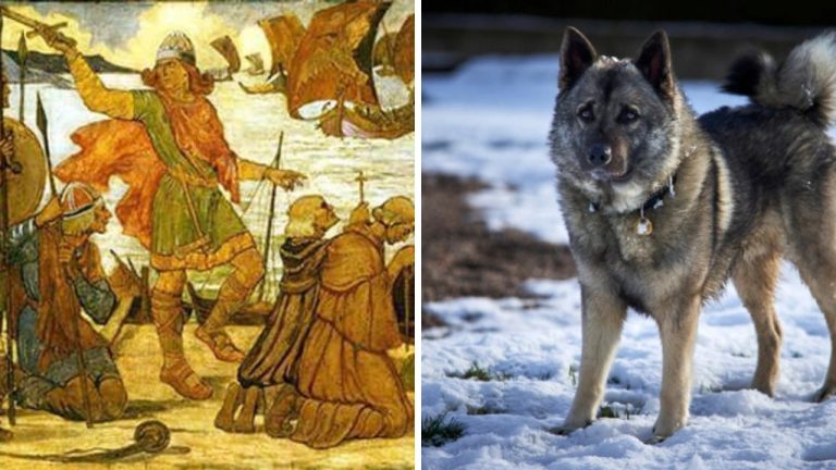 Bežný deň Vikingov – okrem bojov, milovali aj hádanky.