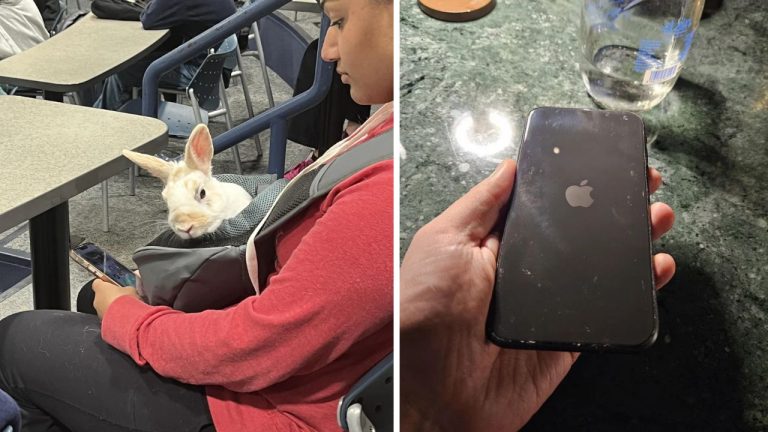 10 náhodných zaujímavých fotografií z internetu #41: Králik na prednáške alebo iPhone bez fotoaparátu!