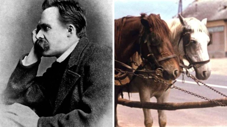 Friedrich Nietzsche a jeho život plný problémov a trápenia. Bol považovaný za blázna!