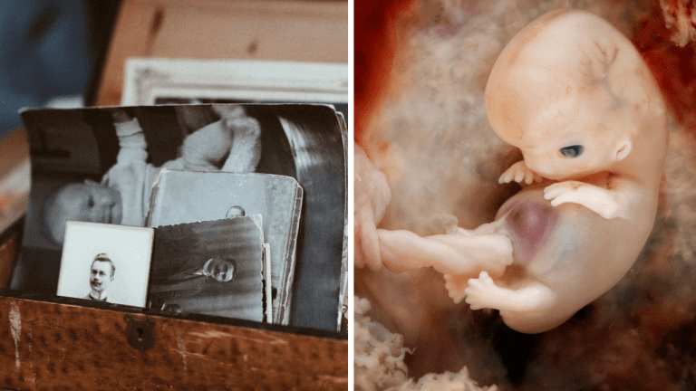 10 pochybných vedeckých štúdií, ktoré dokázali oklamať celý svet