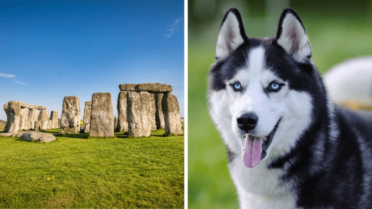 Zaujímavosti ku káve, ktoré vám rozšíria obzory #1943 – kto kúpil Stonehenge a prečo husky nie je dobrý strážny pes