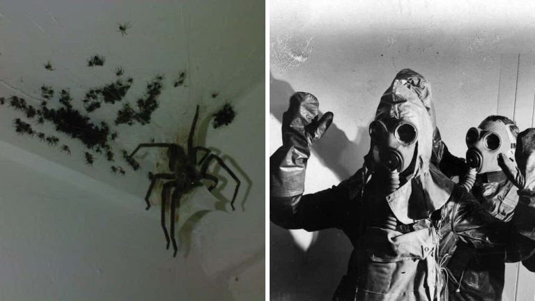 Desivé fotografie, pri ktorých vám nabehnú zimomriavky. Chcete sa báť?