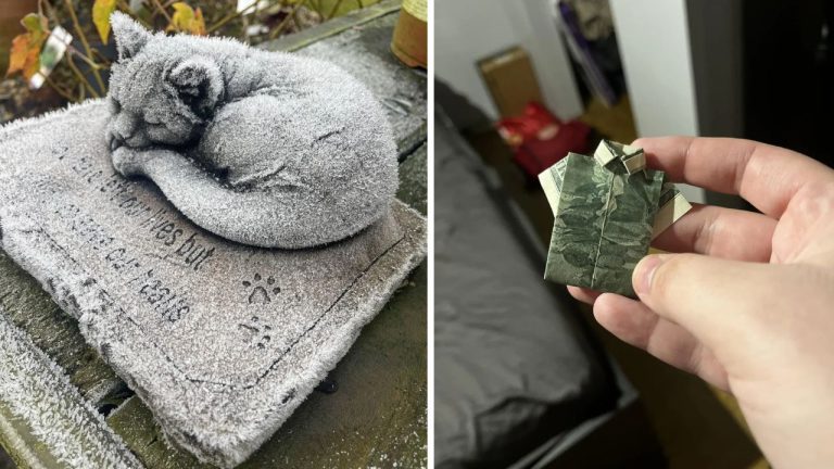 10 náhodných zaujímavých fotografií z internetu #60: Bankovka zložená do košele, či cencúle ako kožušina!