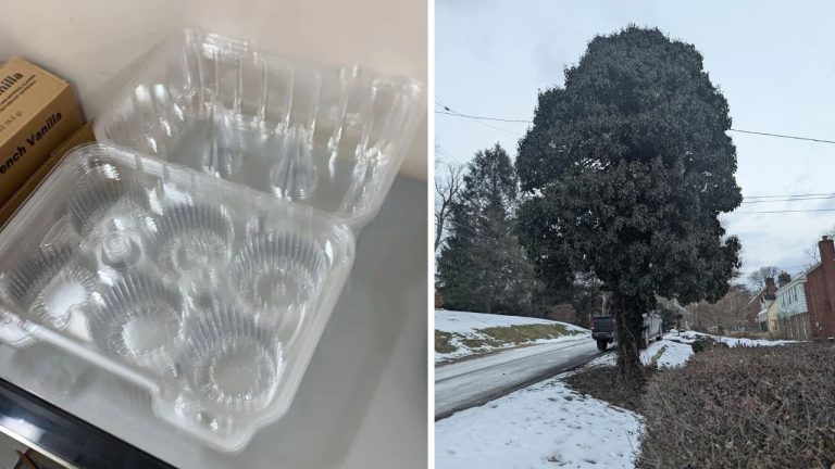 10 náhodných zaujímavých fotografií z internetu #70: Stĺp vyzerajúci ako strom alebo nádoby rozmazávajúce zrak