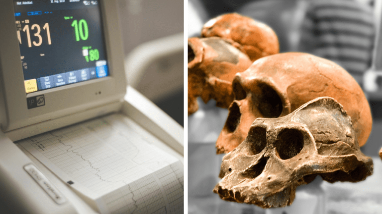 10 spôsobov, ako z vás biológia dokáže vyformovať zločinca