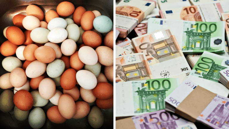 Zaujímavosti ku káve, ktoré ti rozšíria obzory #1951 – čo určuje farbu vajíčok a z čoho sú vyrobené eurobankovky