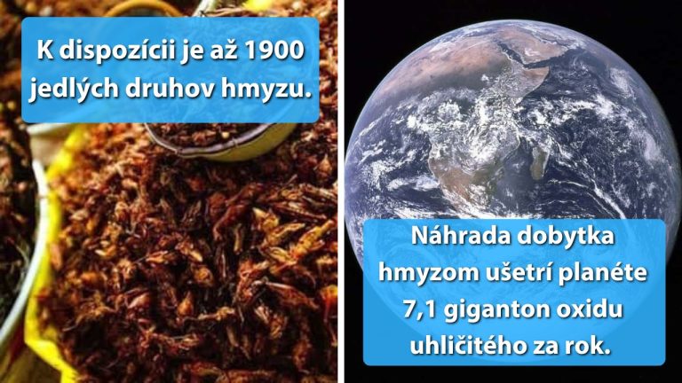 Obohaťte svoj jedálniček o lahodný hmyz. Je výživný a trendy.
