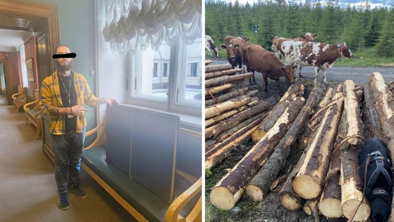 10 náhodných zaujímavých fotografií z internetu #73: Obrovská kniha alebo pes skrývajúci sa pred kravami!
