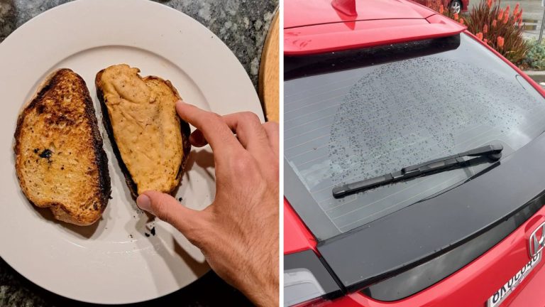 10 náhodných zaujímavých fotografií z internetu #75: Tajná skrýša veveričky alebo kuracie mäso rovnaké ako toast