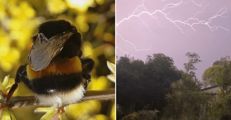 Je to vôbec možné? Tieto amatérske fotografie prírody boli zachytené v ten najlepší moment