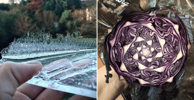 Fotografie prírody, ktoré sú okúzľujúce a miestami aj naozaj dojemné